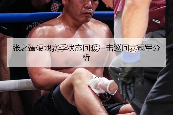 张之臻硬地赛季状态回暖冲击巡回赛冠军分析